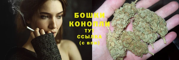 соль ск Дедовск